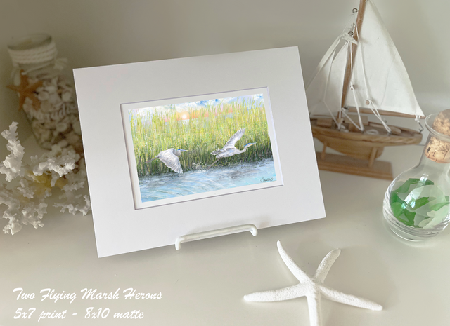 Flying Herons in Marsh