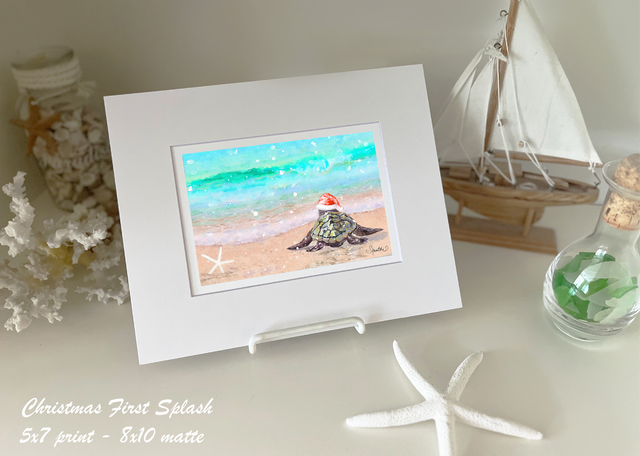 Holiday Sea Turtle's First Splash