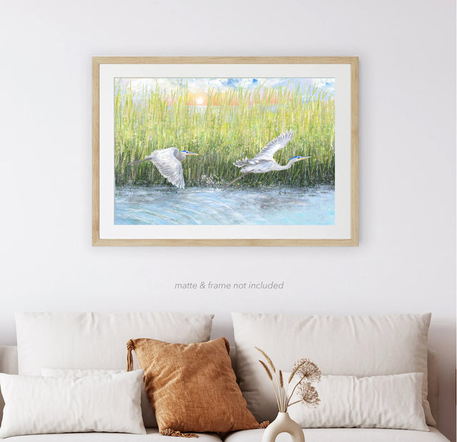 Flying Herons in Marsh