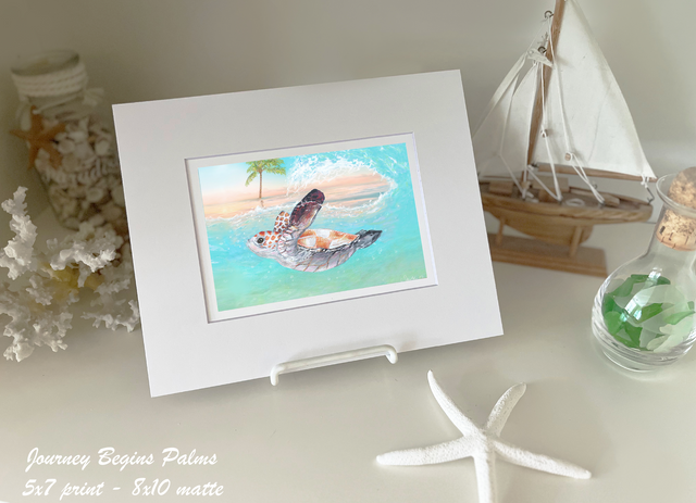 Sea Turtle Journey