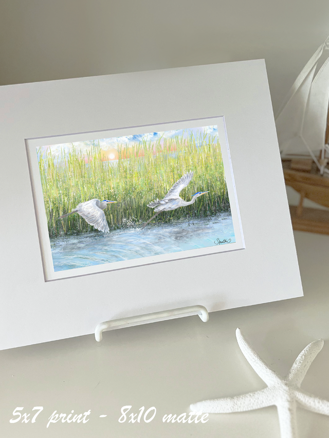 Flying Herons in Marsh