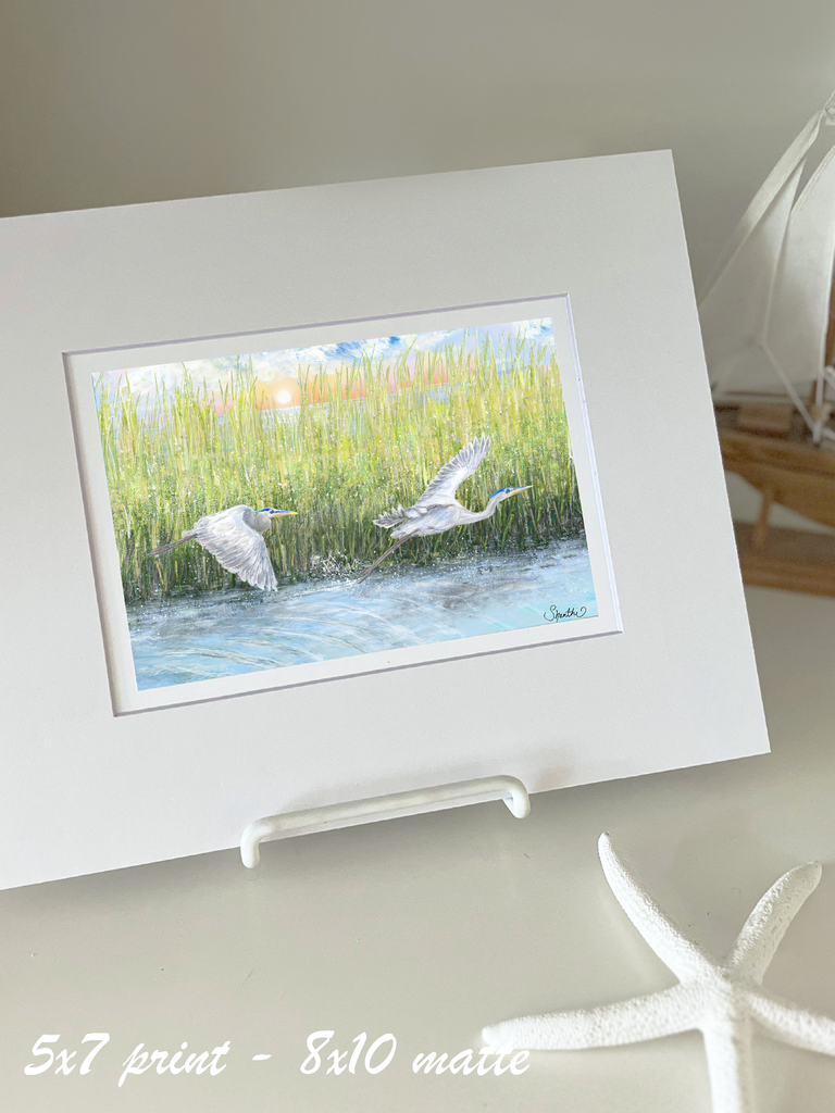 Flying Herons in Marsh
