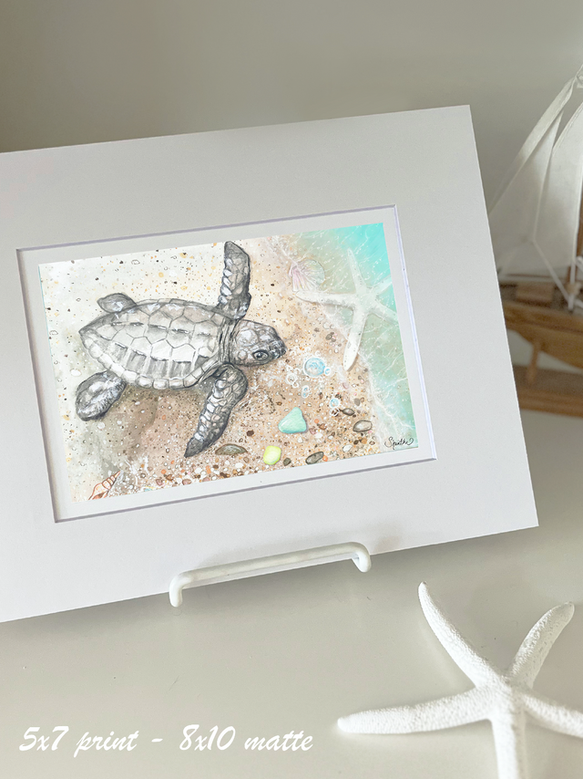 Baby Sea Turtle Fearless Flippers