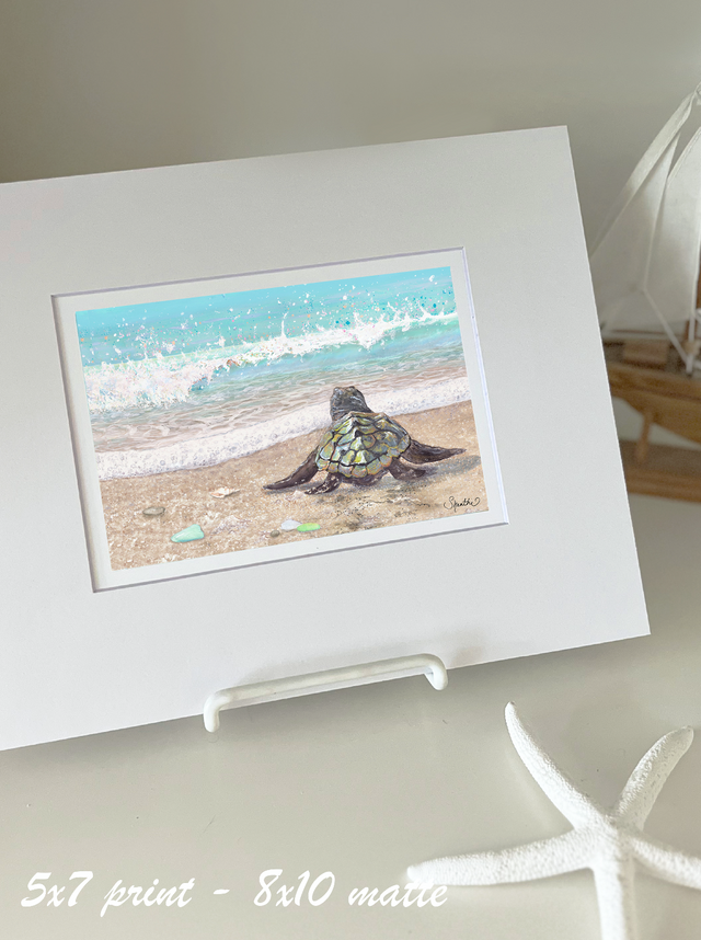 Sea Turtle's First Splash