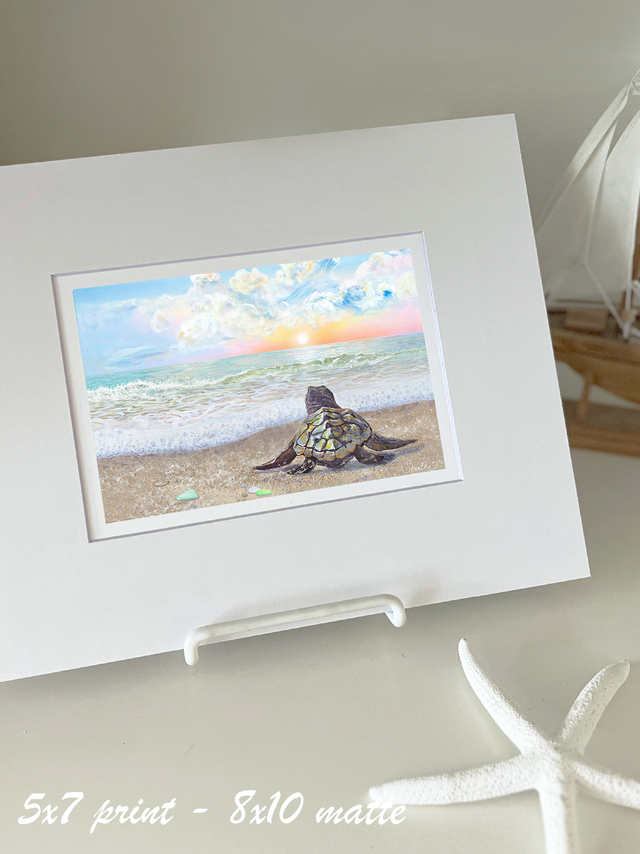 Sunrise Sea Turtle