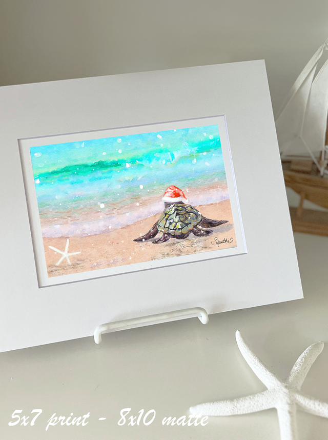 Holiday Sea Turtle's First Splash