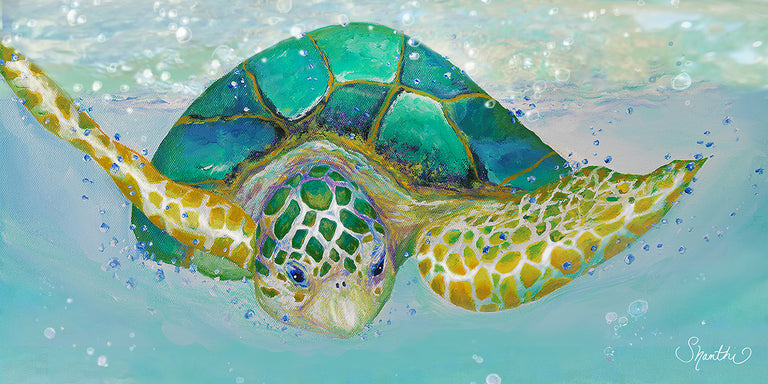 Diving Sea Diamond