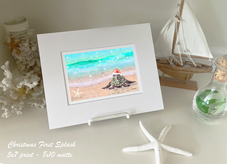 Holiday Sea Turtle's First Splash