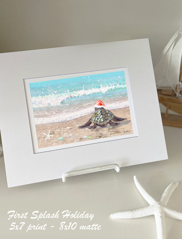 Holiday Sea Turtle's First Splash