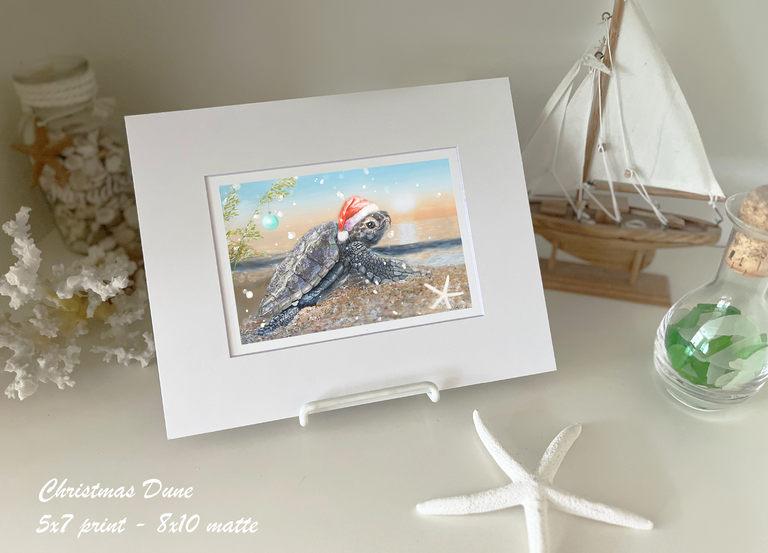 Santa Sea Turtle's Christmas