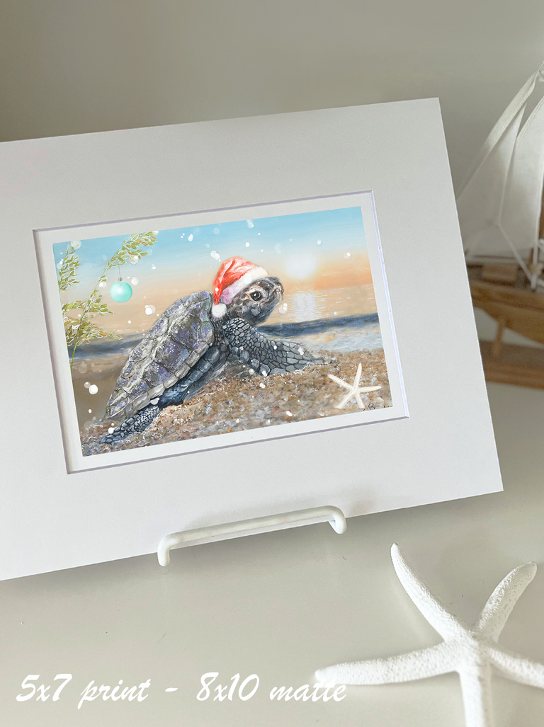 Santa Sea Turtle's Christmas