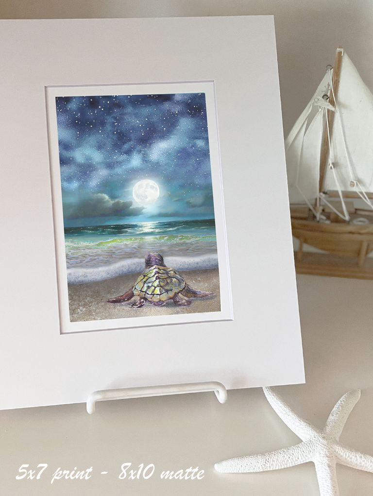 Sea Turtle Moonlight