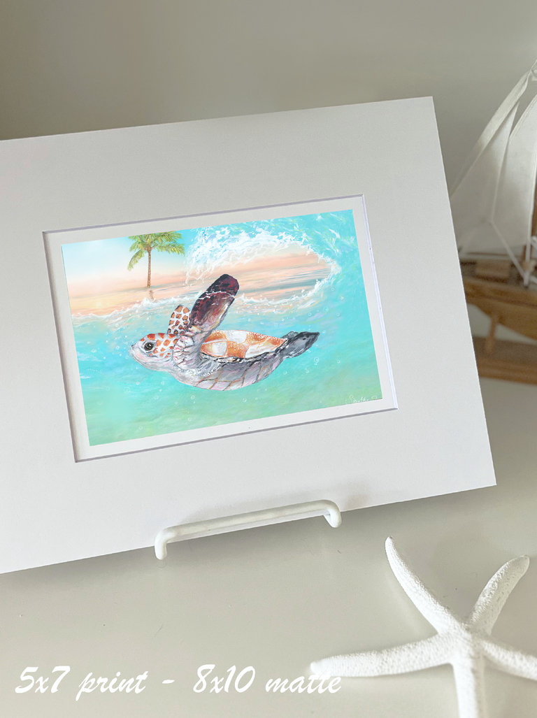 Sea Turtle Journey