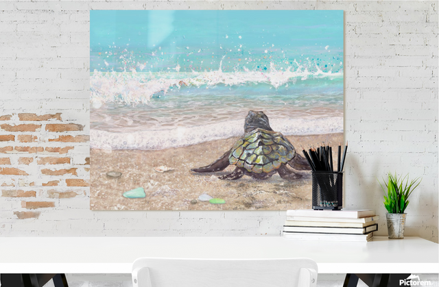 First Splash (Metal Print)