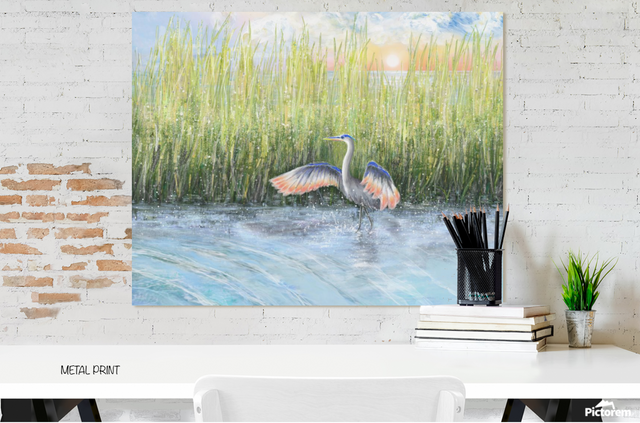 Marsh Heron (Metal Print)