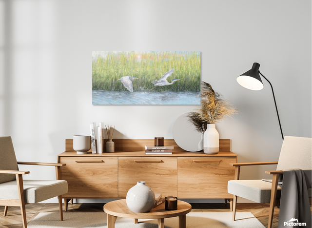 Marsh Herons Fly (Metal Print)