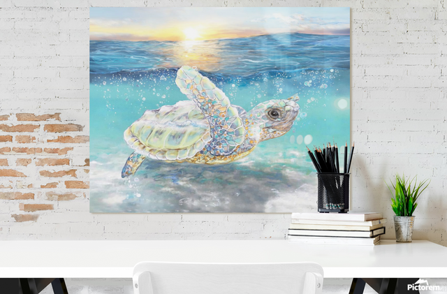 Turtle Sunrise (Metal Print)