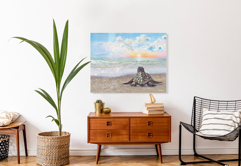 Turtle Sunrise Morning (Metal Print)