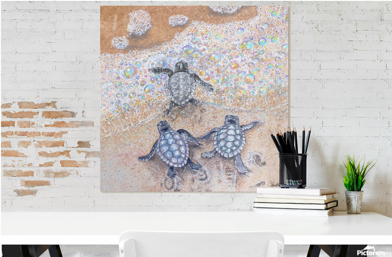 Bubble Path (Metal Print)