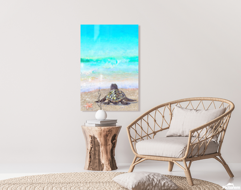 Tropical Sea Turtle (Metal Print)