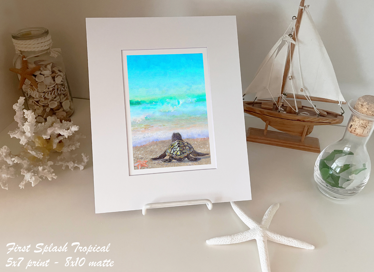 Tropical Sea Turtle
