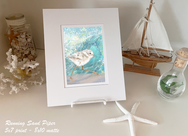 sandpiper, beach art, coastal gifts,