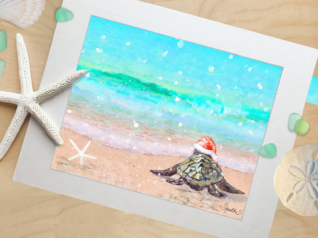 Holiday Sea Turtle's First Splash