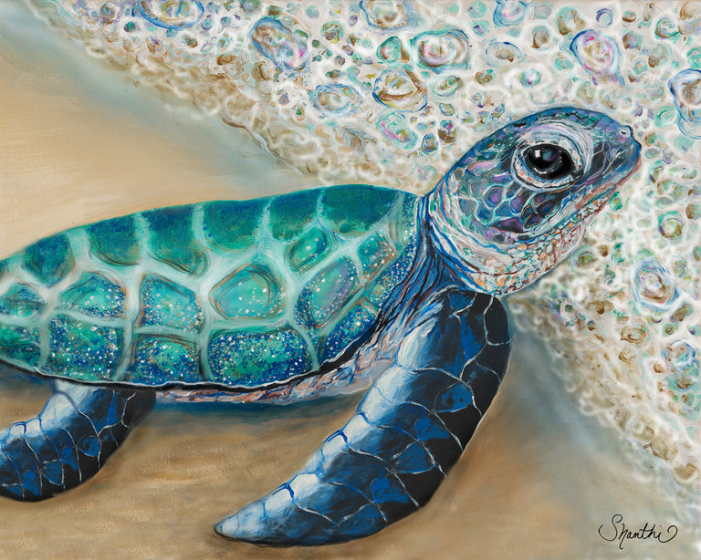 baby sea turtle paintings