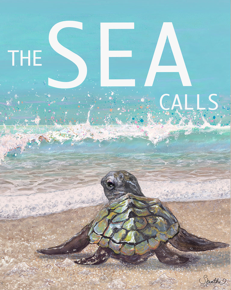The Sea Calls