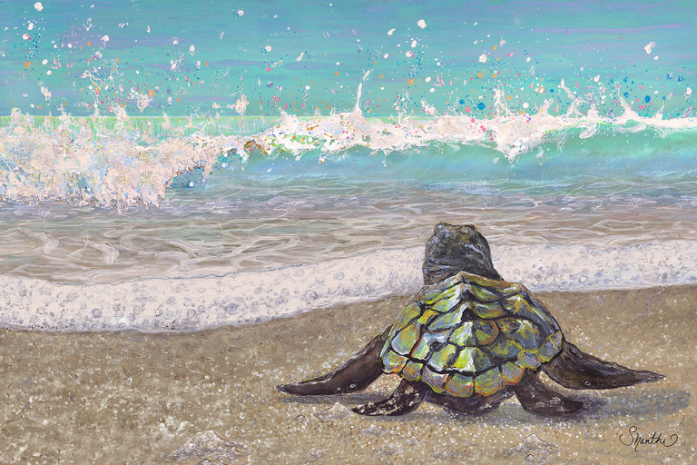 baby sea turtle paintings