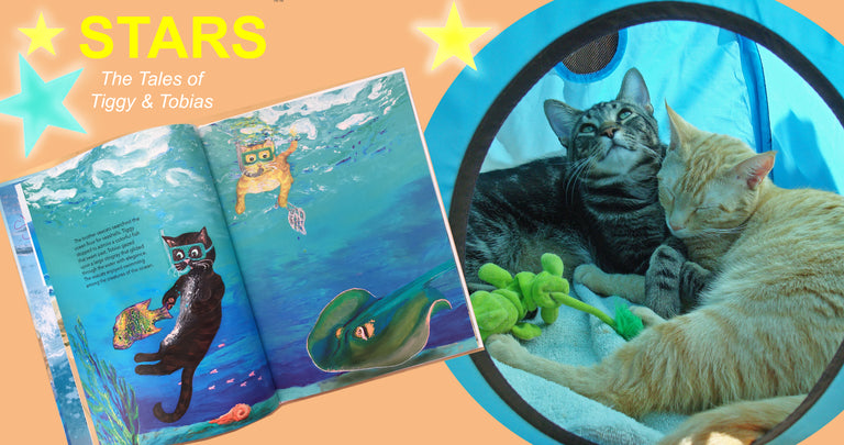 swimming cat, bedtime stories, children stories,