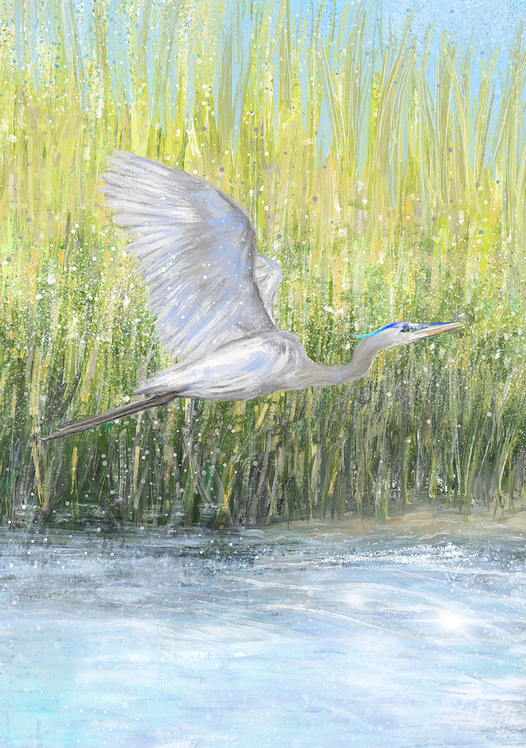 Flying Heron in Marsh, Cropped