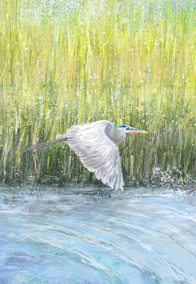 Single Flying Heron in Marsh, Cropped