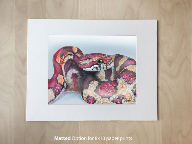 corn snake art, snake gift, snake lover gift, snake art print 8x10 paper print matted
